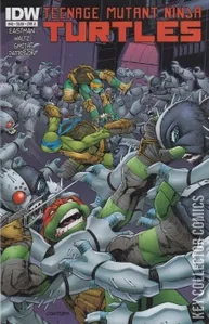 Teenage Mutant Ninja Turtles #43
