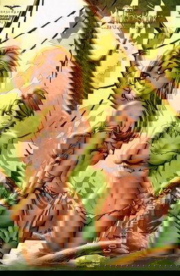 Grimm Fairy Tales Presents: The Jungle Book - Fall of the Wild