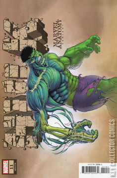 Variant Cover for Hulk #11