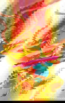 Variant Cover for Adventure Time: Fionna and Cake #1