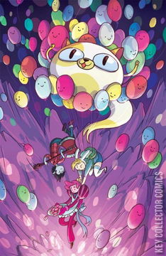 Variant Cover for Adventure Time: Fionna and Cake #5