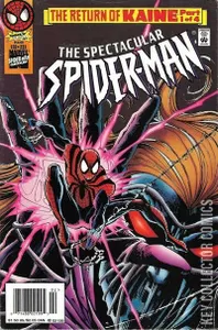 Peter Parker: The Spectacular Spider-Man #231