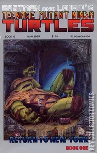 Teenage Mutant Ninja Turtles #19