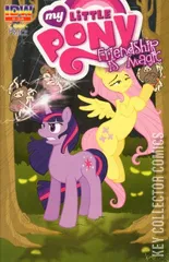 Variant Cover for My Little Pony: Friendship Is Magic #2