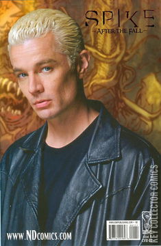 Variant Cover for Spike: After the Fall #1