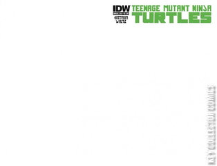 Variant Cover for Teenage Mutant Ninja Turtles Annual #2012