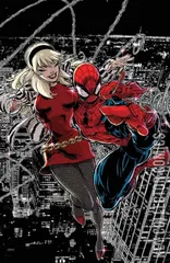 Variant Cover for Amazing Spider-Man #30