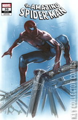 Variant Cover for Amazing Spider-Man #30