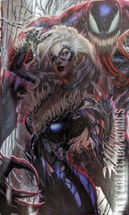 Variant Cover for Amazing Spider-Man #29