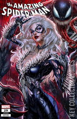 Variant Cover for Amazing Spider-Man #29