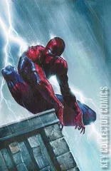 Variant Cover for Amazing Spider-Man #29