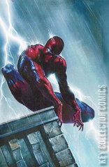 Variant Cover for Amazing Spider-Man #29