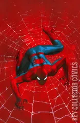 Variant Cover for Amazing Spider-Man #17