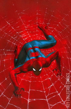 Variant Cover for Amazing Spider-Man #17