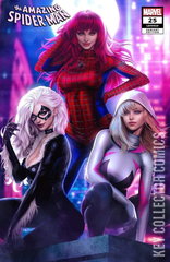 Variant Cover for Amazing Spider-Man #25