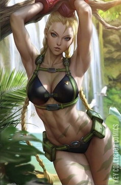 Variant Cover for Street Fighter Swimsuit Special 2023 #1