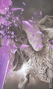 Variant Cover for Jim Henson's The Power of the Dark Crystal #2