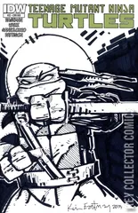 Variant Cover for Teenage Mutant Ninja Turtles #22
