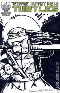 Variant Cover for Teenage Mutant Ninja Turtles #22