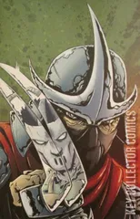 Variant Cover for Teenage Mutant Ninja Turtles #22