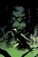 Variant Cover for Incredible Hulk, The #2