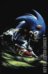 Variant Cover for Sonic the Hedgehog's 900th Adventure