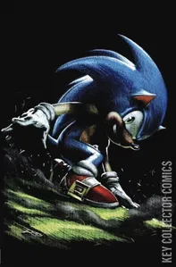 Sonic the Hedgehog's 900th Adventure