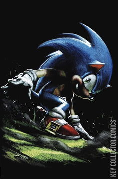 Variant Cover for Sonic the Hedgehog's 900th Adventure