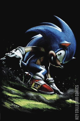 Sonic the Hedgehog's 900th Adventure