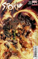 Cover for Storm #3