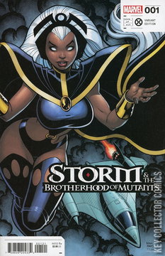 Variant Cover for Storm and the Brotherhood of Mutants #1