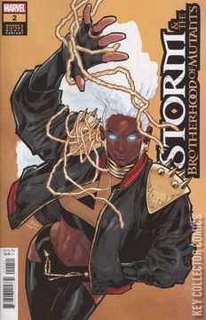 Variant Cover for Storm and the Brotherhood of Mutants #2