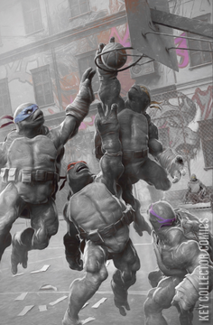 Variant Cover for Teenage Mutant Ninja Turtles #143