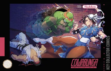 Variant Cover for Teenage Mutant Ninja Turtles vs. Street Fighter #1