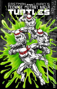 Variant Cover for Teenage Mutant Ninja Turtles #1