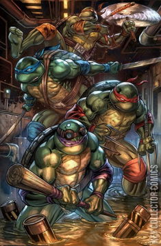 Variant Cover for Teenage Mutant Ninja Turtles #1
