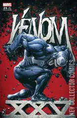 Variant Cover for Venom #25