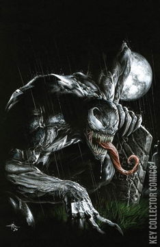 Variant Cover for Venom #27