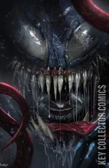 Variant Cover for Venom #14