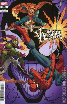 Variant Cover for Venom #25