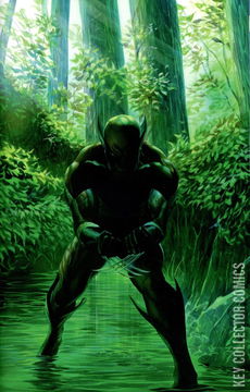 Variant Cover for Wolverine #1