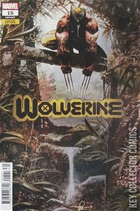 Wolverine #15 
