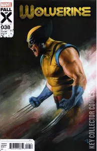 Wolverine #38