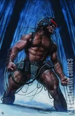 Variant Cover for X Lives of Wolverine #4