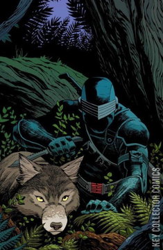 Variant Cover for G.I. Joe: A Real American Hero #301