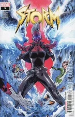 Cover for Storm #5