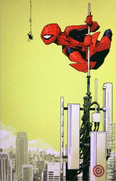 Variant Cover for Amazing Spider-Man #23