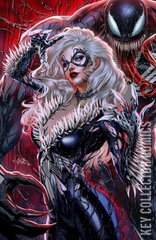 Variant Cover for Amazing Spider-Man #29
