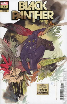 Variant Cover for Black Panther #12