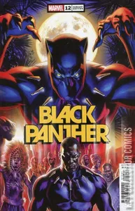 Black Panther #12